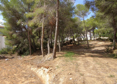 faf51f6d53fab8045cffxlarge