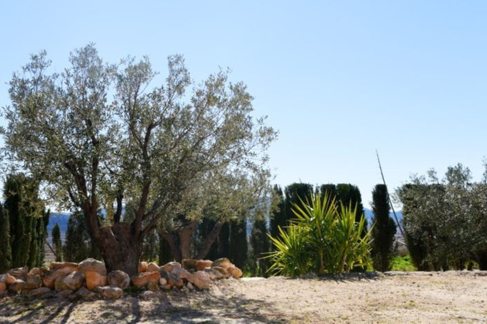 Image No.21-Villa de 4 chambres à vendre à Pinoso