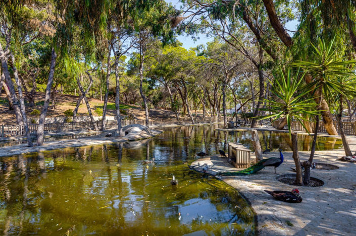 Image No.2-Appartement de 4 chambres à vendre à Guardamar del Segura