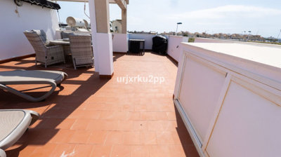 4314c6f68db014851c9exlarge