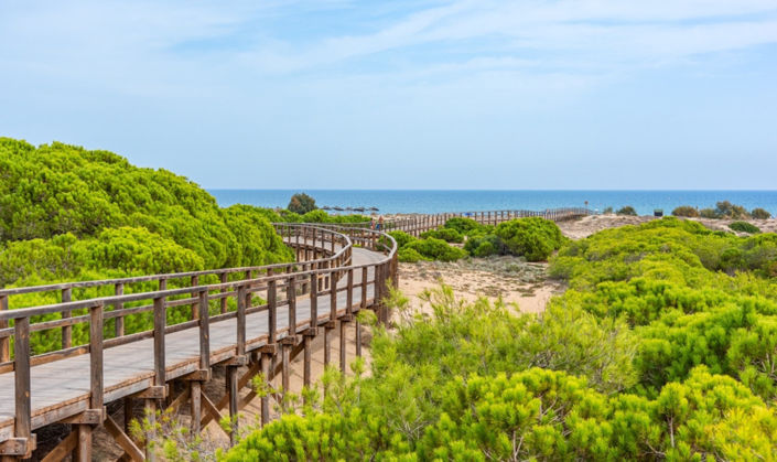 Image No.14-2 Bed Villa for sale