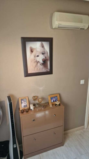 Image No.31-Villa de 3 chambres à vendre à Villamartin