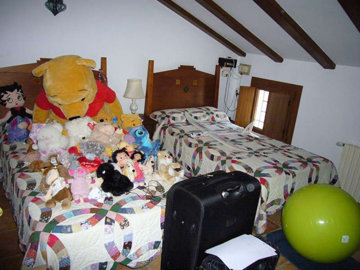 d69986a92a75e10de5bcxlarge