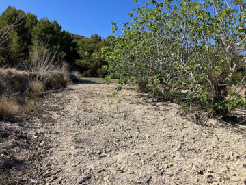 9a658bb4d72c2f10ab2exlarge