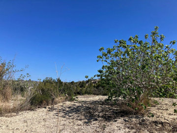 6fe1098204fda93f4924xlarge