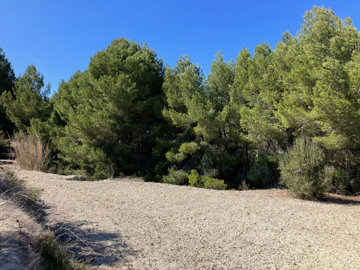 e6fe600f12abc5061e74xlarge