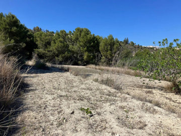 3085c6ce6c9af9ffcfb7xlarge