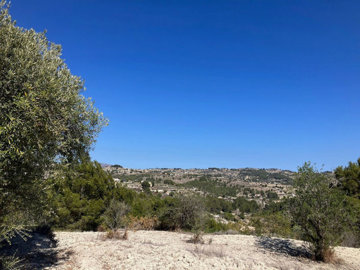 e45d5328976e48beec56xlarge