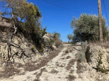 ce7fb9d5e629497f96b1xlarge