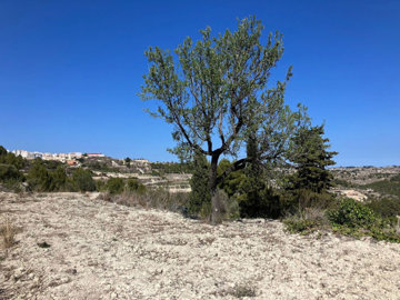 c2290633150103775317xlarge