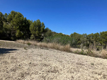 6838cb51e0bd533e941bxlarge