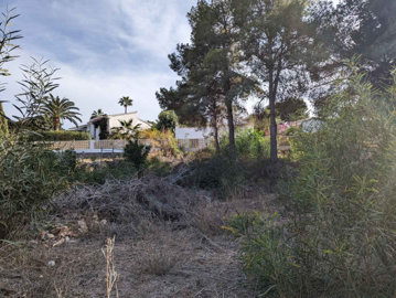 2292a1f5e1dc567c632dxlarge