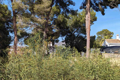 6d1dfab344bfada7c944xlarge