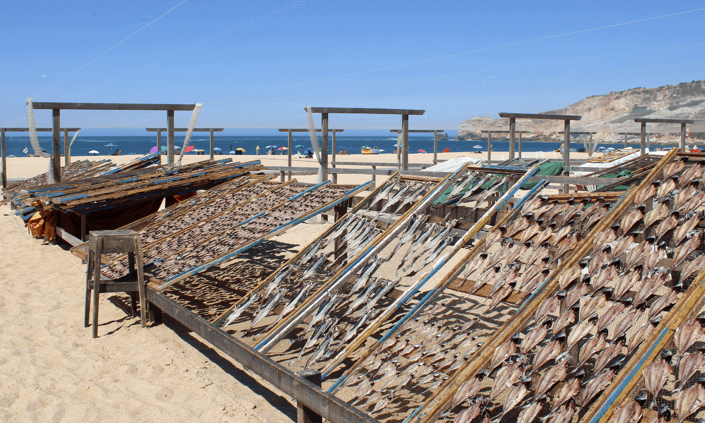 Image No.17-Appartement de 3 chambres à vendre à Nazaré