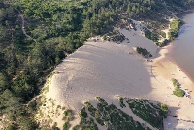 95-524241-78d1f4f8b6655591b02d22fabb36a692d73