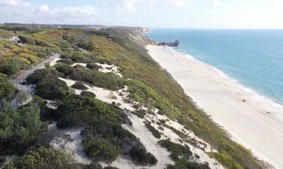 95-624918-78d1f4f8b6655591b02d22fabb36a692d73