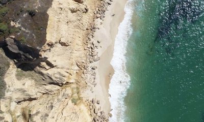 95-624918-78d1f4f8b6655591b02d22fabb36a692d73