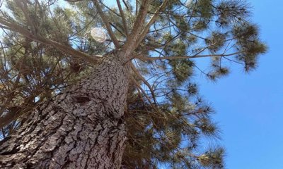 95-624918-78d1f4f8b6655591b02d22fabb36a692d73