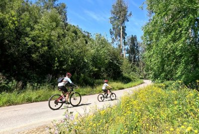 95-631811-78d1f4f8b6655591b02d22fabb36a692d73