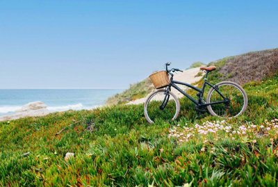 95-635125-78d1f4f8b6655591b02d22fabb36a692d73