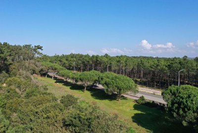 95-635120-78d1f4f8b6655591b02d22fabb36a692d73