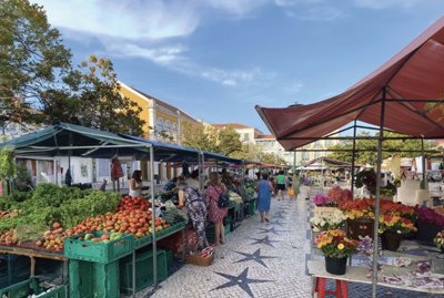 95-635868-78d1f4f8b6655591b02d22fabb36a692d73