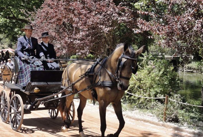 Image No.17-Villa de 3 chambres à vendre à Caldas da Rainha