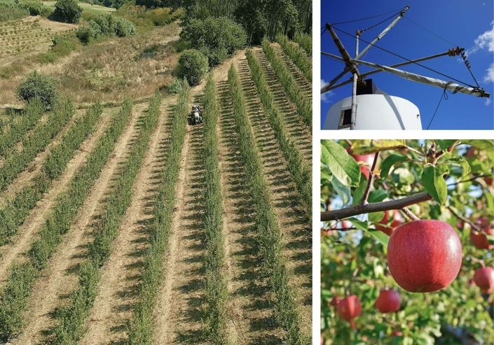 Image No.12-3 Bed Villa for sale