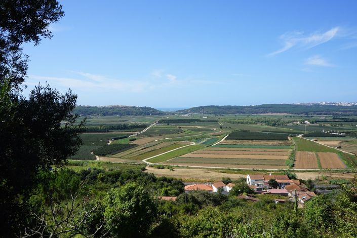Image No.22-Villa de 3 chambres à vendre à Alcobaça