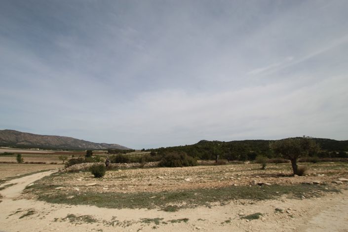 Image No.14-Maison de campagne de 1 chambre à vendre à Monóvar