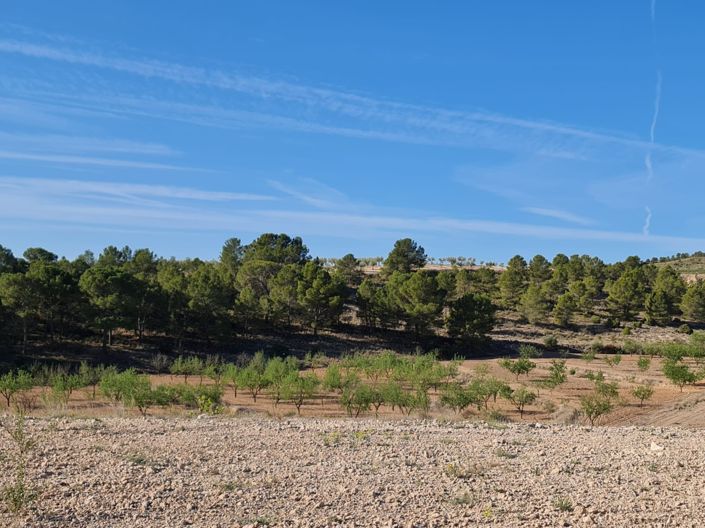 Image No.24-Terre à vendre à Raspay