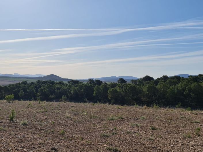 Image No.28-Terre à vendre à Raspay