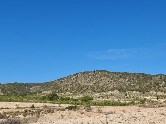 Image No.5-Terre à vendre à Raspay