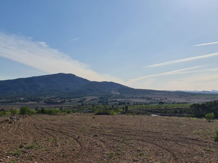 Image No.9-Terre à vendre à Raspay