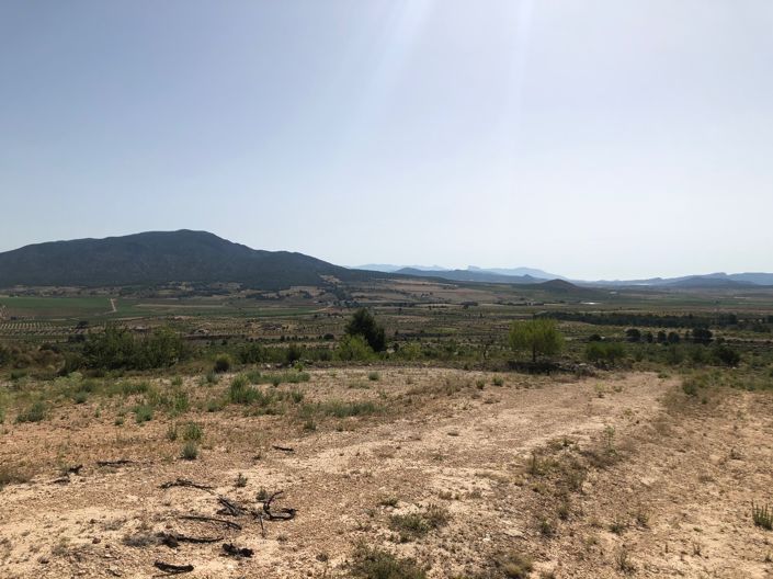 Image No.16-Terre à vendre à Yecla