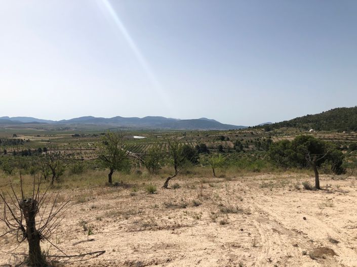 Image No.17-Terre à vendre à Yecla