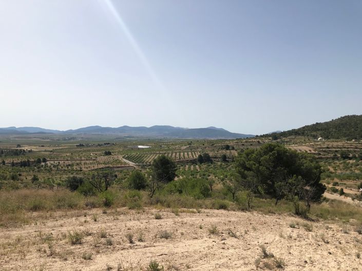 Image No.19-Terre à vendre à Yecla