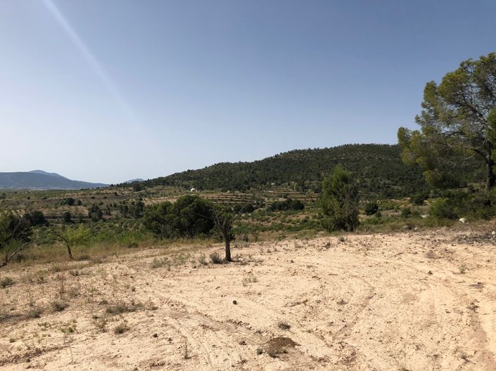 Image No.20-Terre à vendre à Yecla