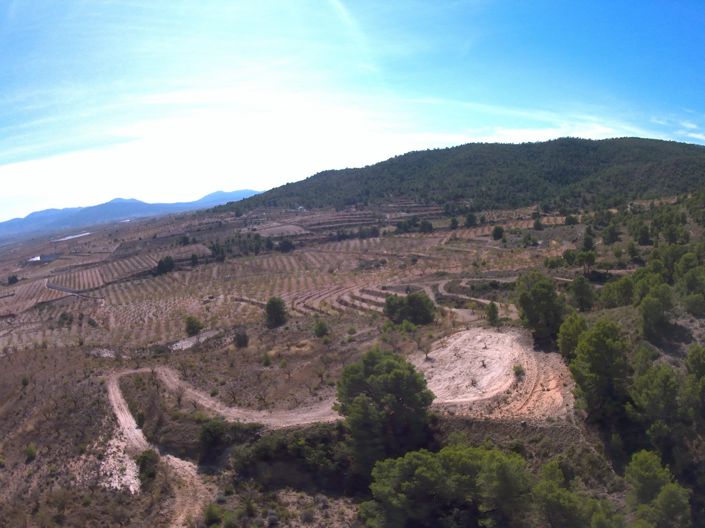 Image No.25-Terre à vendre à Yecla