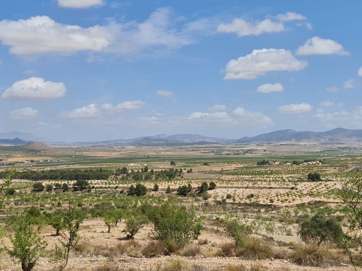 Image No.27-Terre à vendre à Yecla
