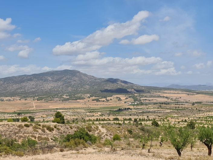 Image No.28-Terre à vendre à Yecla