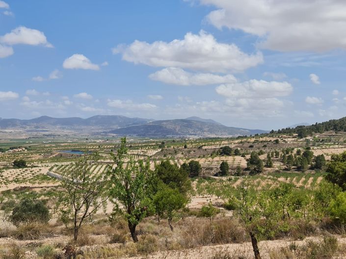 Image No.29-Terre à vendre à Yecla