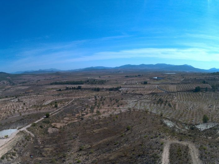 Image No.6-Terre à vendre à Yecla