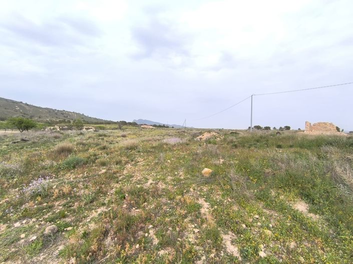 Image No.15-Propriété de 8 chambres à vendre à Murcie