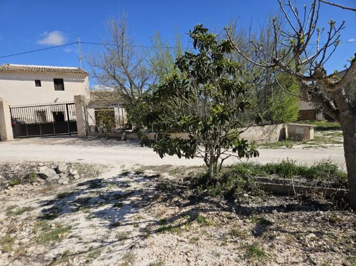 Image No.34-Maison de campagne de 5 chambres à vendre à Monóvar
