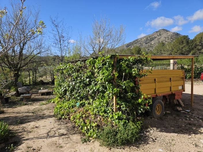 Image No.39-Maison de campagne de 5 chambres à vendre à Monóvar