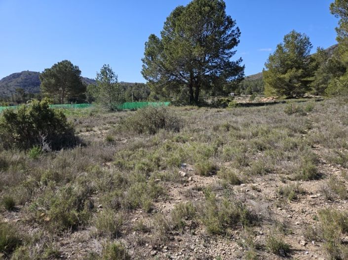 Image No.41-Maison de campagne de 5 chambres à vendre à Monóvar