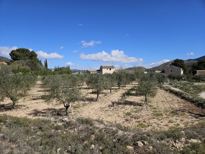 Image No.47-Maison de campagne de 5 chambres à vendre à Monóvar