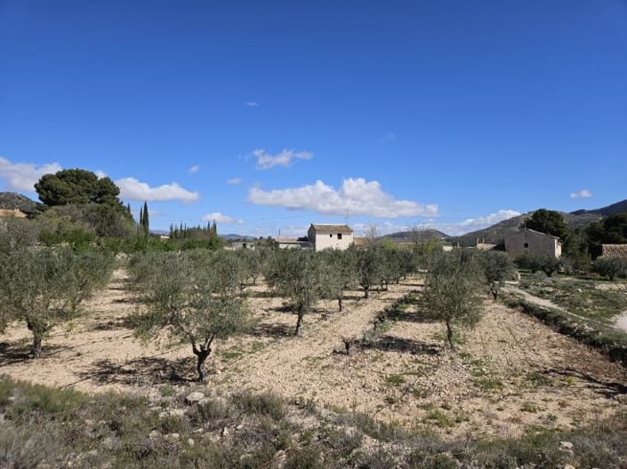 Image No.48-Maison de campagne de 5 chambres à vendre à Monóvar