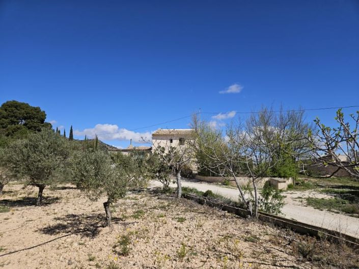 Image No.49-Maison de campagne de 5 chambres à vendre à Monóvar